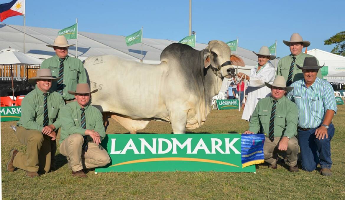 Champion team: Landmark livestock representatives with the Beef Australia 2015 Grand Champion interbreed bull awarded to Andrew and Roxanne Olive's Brahman, Raglan Victory.
