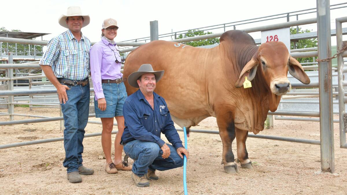 Lachlan and Penny Tomson, Kallanda, paid $55,000 for the top Lancefield M bull, pictured with Lancefield M stud principal Matt McCamley. 