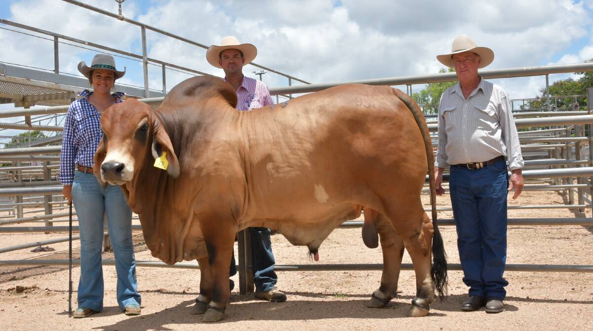 Jamie Vosper and Clayton Curley, Gipsy Plains Brahmans, Cloncurry, with buyers of their $40,000 top sire Noel Sorley, Mt Callan Brahmans, Dalby.