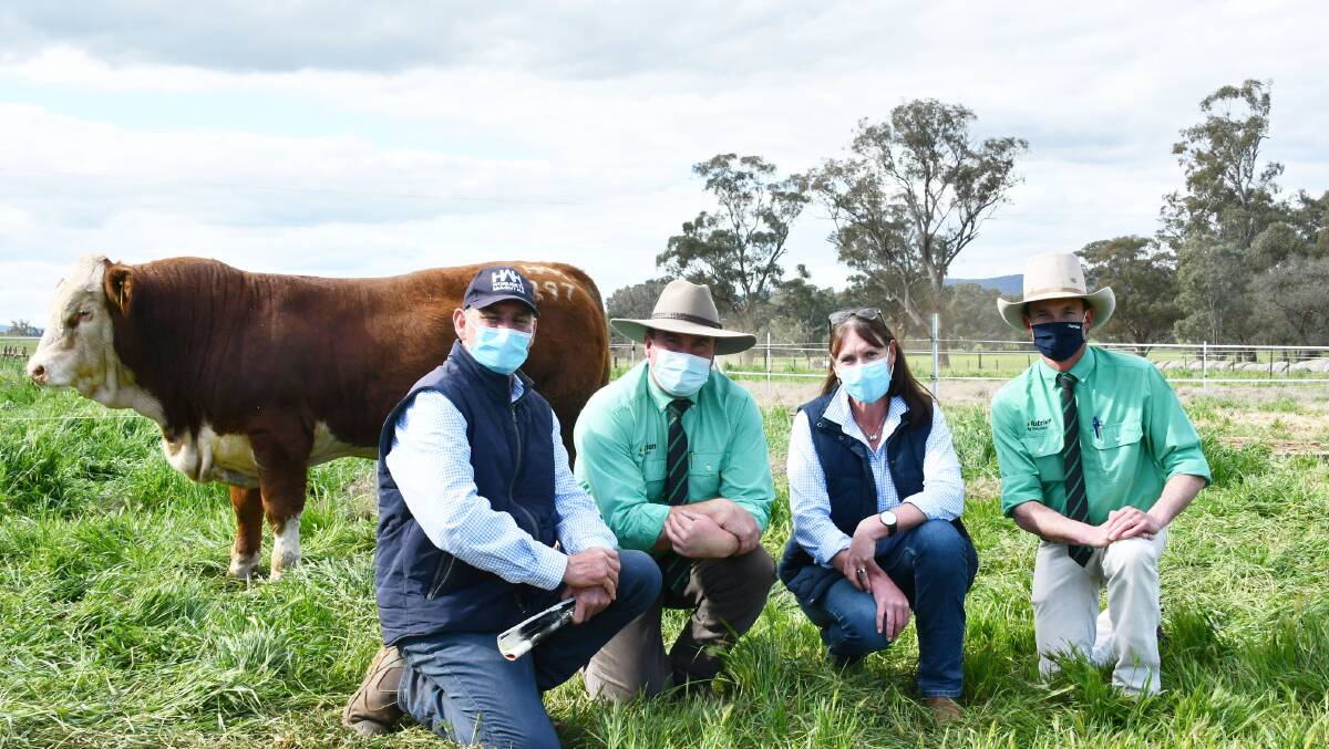 Wormbete Simmental stud principals John and Nicole Hopkins, Illabo, with Nutrien agents Tim Woodham and Hamish McGeoch and the $20,000 sale topper. 