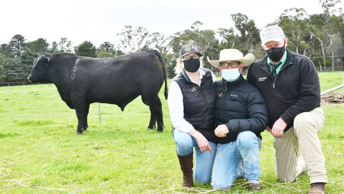 Carmen and Jeremey Seaton Cooper, Circle 8 Bulls, Marulan and John Settree Nutrien stud stock, Dubbo with the $55,000 sale-topper, Circle 8 R509.