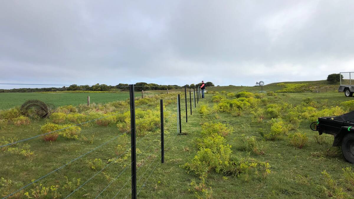 Before and after: Marram Hills owner Anita Brojatsch says she's seen big improvements on her property in four years.