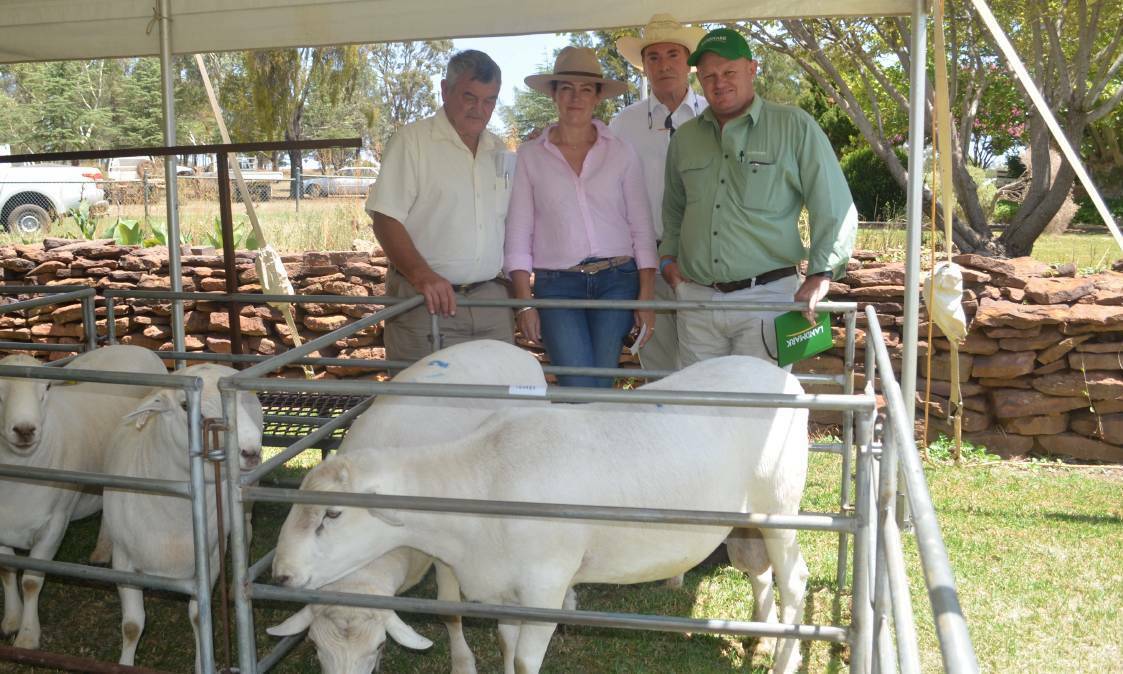 From left: David and Liza Barlow, Alan Baron and John Setree from Nutrien Stud Stock.