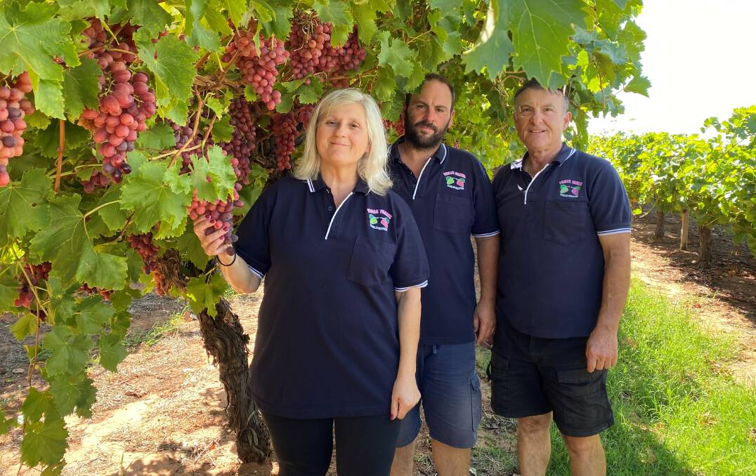 Peace of mind: For C&S Panaretos' Stavroula, Ross and Con Panaretos a Farm Management Deposit ensures there will always be cash flow if they hit troubled times.