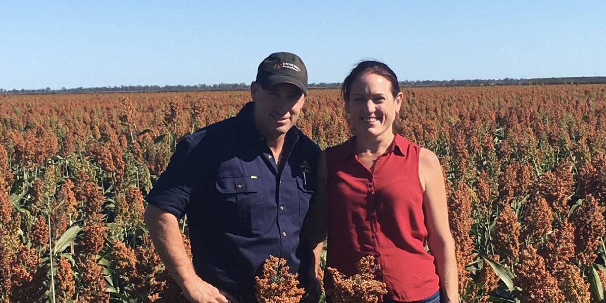 Queensland farmer Andrew Bartley and wife Lisa in their sorghum crop. The family uses Prepay Plus to help with tax planning and cash flow management.