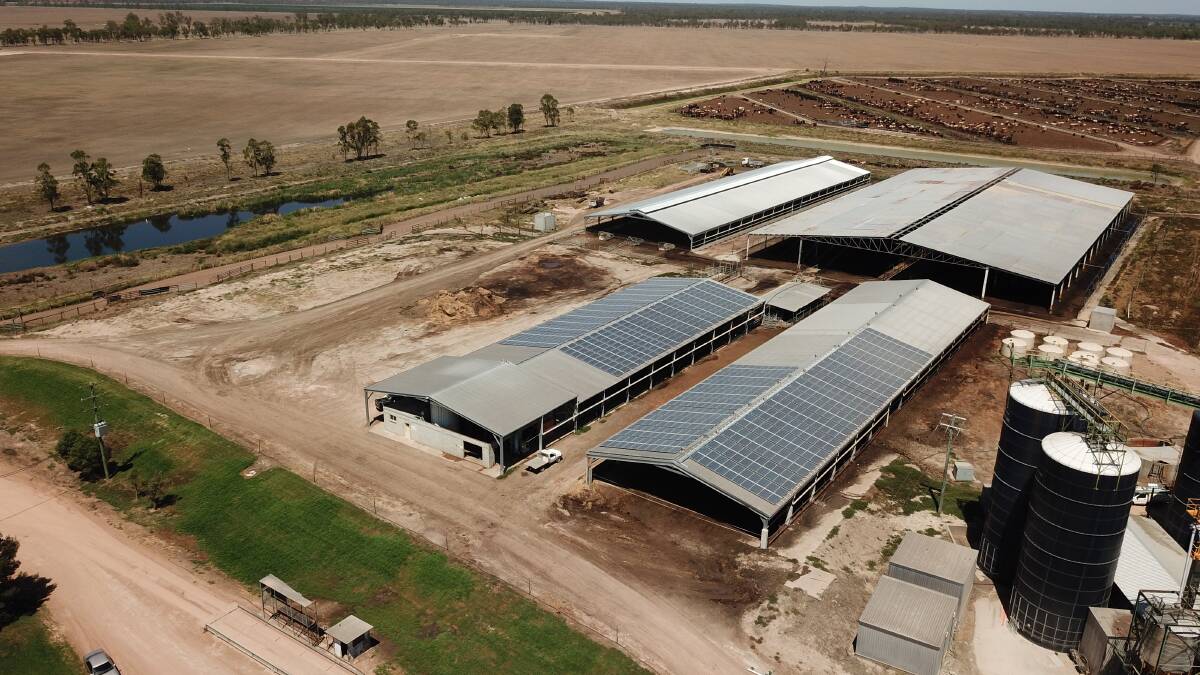Sun lover: The large-scale solar system installed at the South East Queensland feedlot has ensured lower power bills and increased energy certainty.