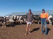 Looking to the future: Gary (right) and Justin Zweck at their Blyth dairy farm.