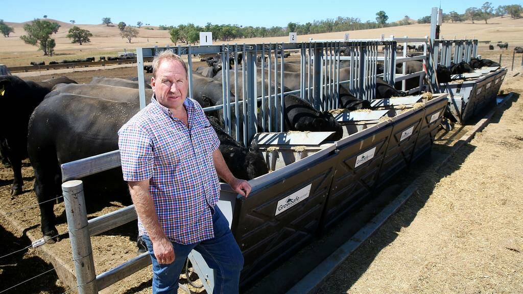 Data driven: Harry Lawson on his Victorian property that is using Vytelle's systems to collect real time information about his cattle.