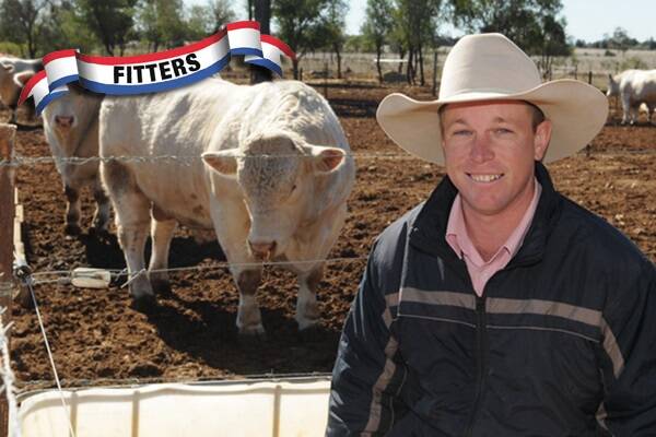 Glen Waldron, Elite Fitting Services, with some of the bulls he cares for on his property at Meandarra.