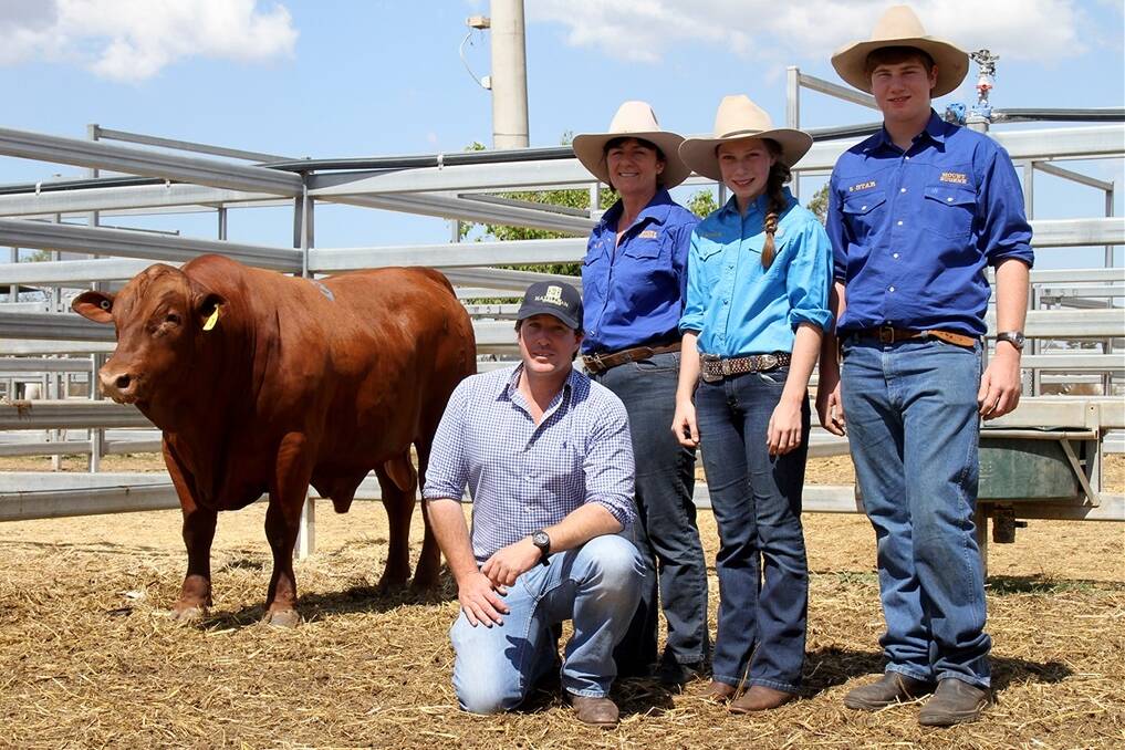 Richard Cannon, manager, Hazeldean Riverina, Hay, New South Wales with his new $12,000 purchase, the 24-month-old, 5 Star 120135 at Monday’s annual 5 Star Senepol Sale, Gracemere. With Richard (front kneeling) and the 712kg entry is Alison, Bonnie and Guthrie Maynard, 5 Star Stud, Jambin.