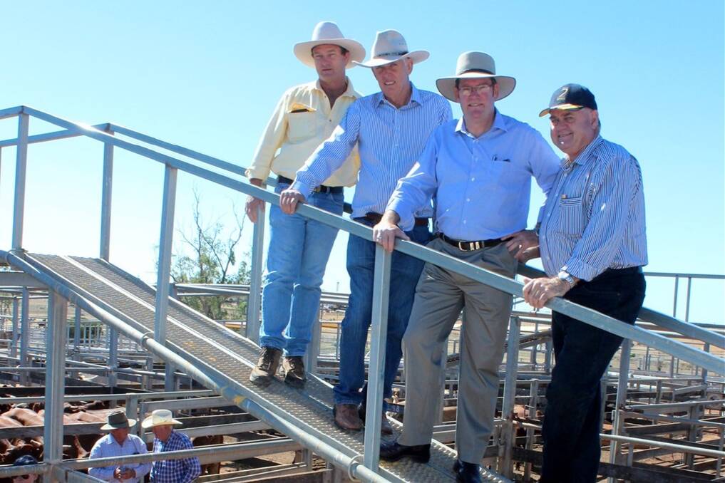 Roma Ray White Livestock agent Rob Wildermuth, Maranoa Regional Council deputy mayor Scott Wason, Queensland Agriculture Minister John McVeigh, and AgForce general president Ian Burnett, inspect a pen of cattle about to be sold at the Roma store sale.