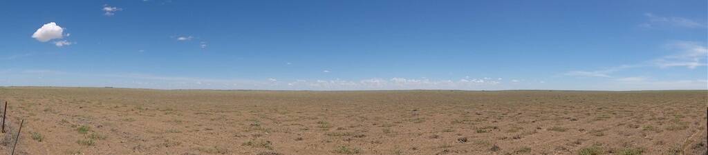 Sally Cripps has been snapping photos of the dry and wet landscape across western Queensland.