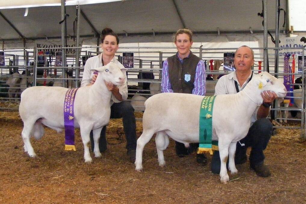 Judge, Andrea van Niekerk, Dell Dorper and Dumisa White Dorpers, Moama, NSW, is flanked by Sophie and David Curtis, Bellevue Dorpers, Millmerran, holding their champion and reserve champion White Dorper rams.
