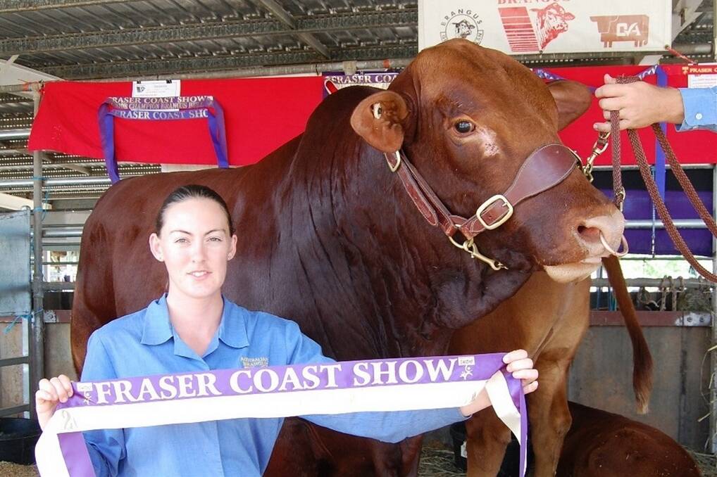 Lucy Roche, Duff Red Brangus, Gympie holds the grand champion Brangus bull, Duff Hill End.
