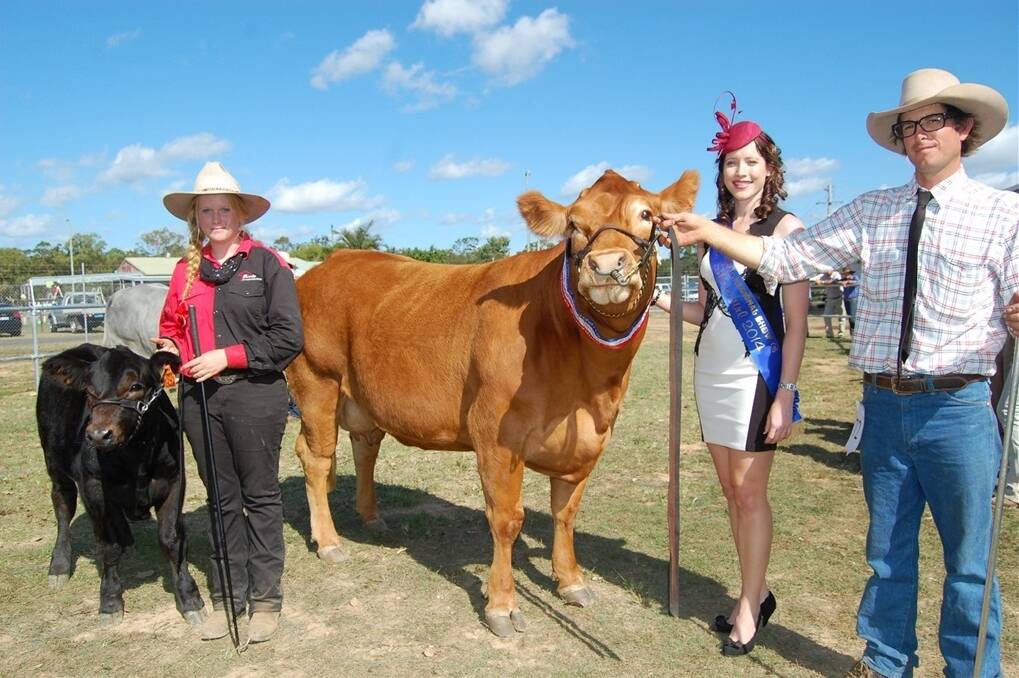 Claiming the Virbac Supreme Exhibit of Show, Oakwood Limousin Made Felicity and her calf Bob Balance, held by Courtney Fleming, Bundaberg with Bundaberg Miss Showgirl Bonnie Coolee congratulating owner Paul Forman, Oakwood Limousins, Bundaberg. 