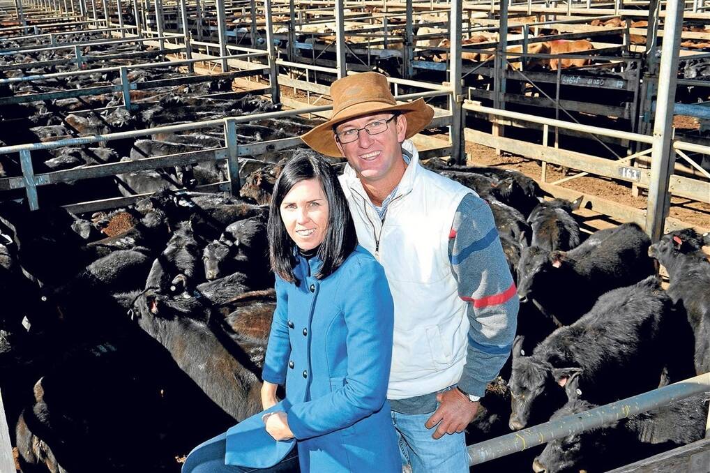 The Shaw family sold 465 Angus steers averaging 274kg for a top of 223c/kg and an average of 220c to return $603/head. They also sold 255 Anguscross heifers at the Roma store sale on Tuesday, averaging 248kg for a top of 218c or 210c/$520. Jeremy and Julie Shaw (pictured) run 1400 Angus breeders at four properties in the Injune district – Double J, Moscow Downs, Amersham and Mt Hutton.