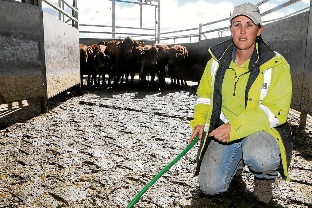 Grassdale Feedlot livestock leading hand Sarah Wreford at the induction facility where new rubber woven matting has been installed to decrease noise levels and reduce stress and injuries to cattle. – Picture: Sarah Coulton.