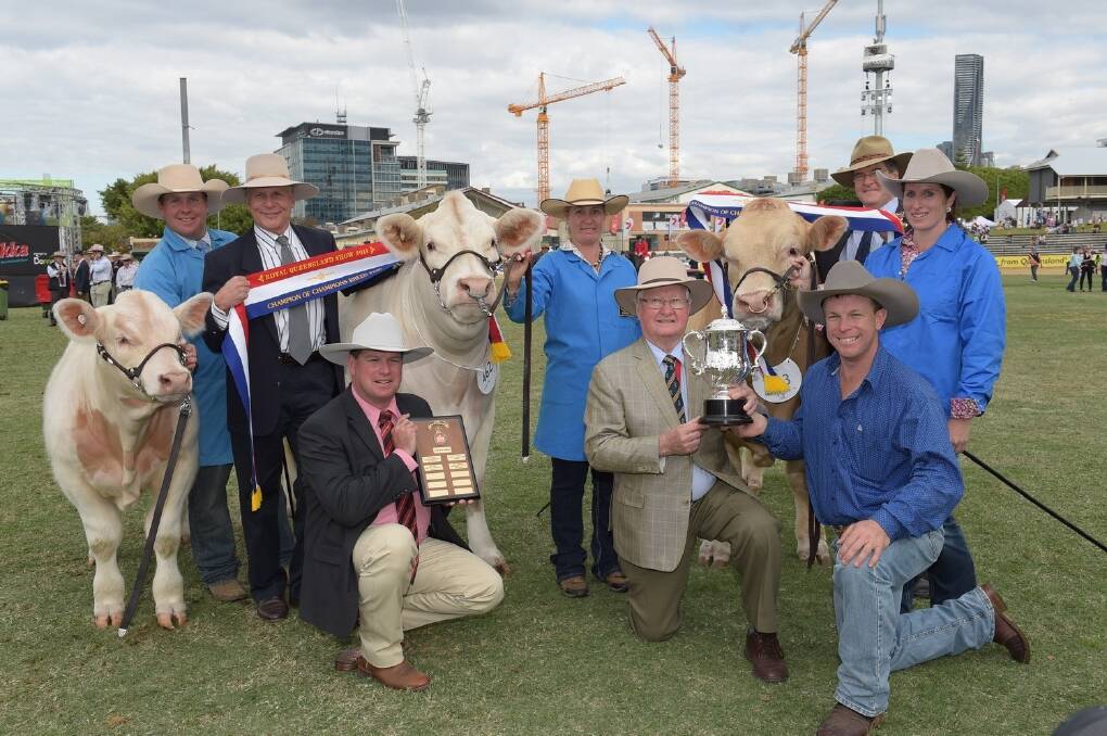 The Charolais claimed the interbreed pair with CD Gypsey Girl exhibited by Nigel and Casey Wieck Delungra and Elite Hotshot excited by Glen Waldron and sashed by Sam Claas Mananoa regional manger Santos Michael Smith, Elders, Alan Warby, David Thomas and held by Kim Gromer.