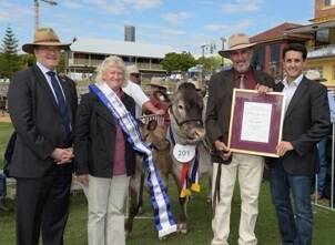 Karen and Rodney Johannesen with champion cow Geisha and her calf, with RNA president David Thomas on left and Local Government Minister David Crisafulli presenting them the Community Resilience Award.