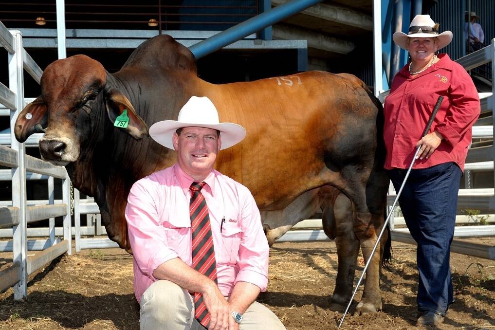 The Red polled Brahman sire NK X Man 586 sold for a top price of $38,000 on the final day of selling at RBWS, pictured with Fiona Skinner, NK Brahmans and Michael Smith, Elders auctioneer, Toowoomba.