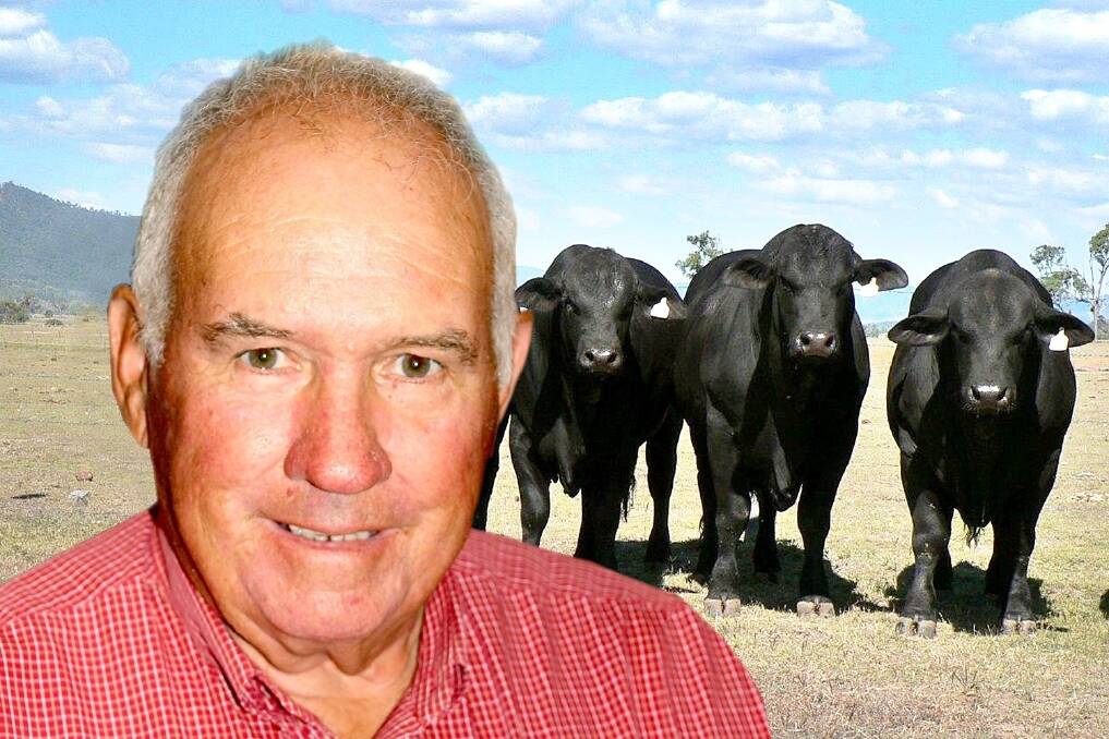 Newly elected Australian Brangus Cattle Association president Tim Roche.