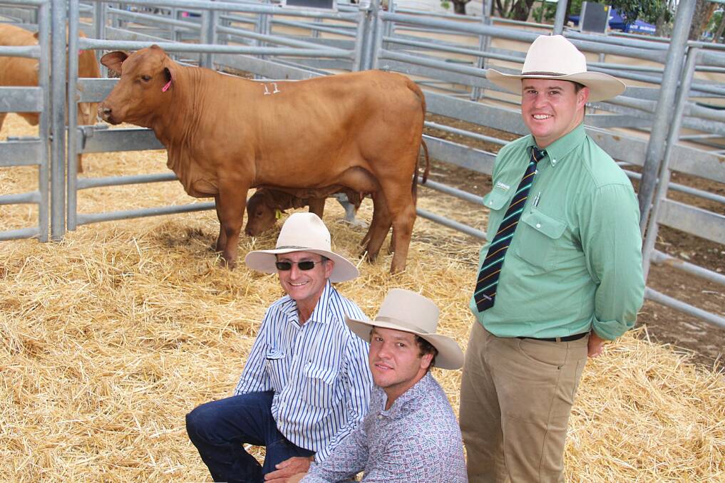 A cow and calf sold for $5500 to top the annual CQ Spring Classic Droughtmaster sale at Emerald last week. Vendor, David Purnell (on right), Calioran stud, Rockhampton is pictured with buyer, Riley McKenzie, Ramardoo Droughtmasters, Bluff and Landmark agent, Trent McKinlay.