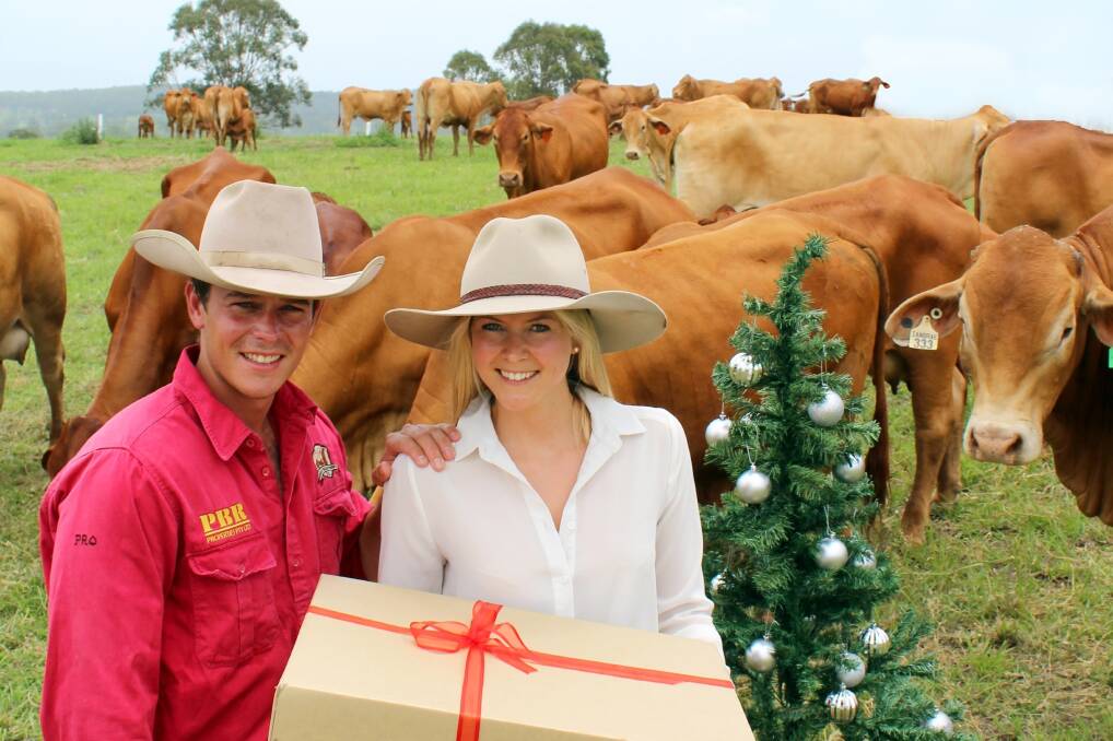 Siblings Carl and Aimee Young have launched their own paddock-to-plate experience, bringing grass-fed beef from Beaudesert to Brisbane via supply business Young Farmers. 