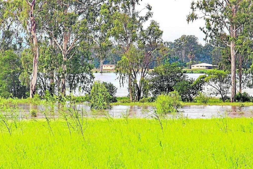 The Harch property at Argoon, just south of Jambin, was inundated with floodwater last week.