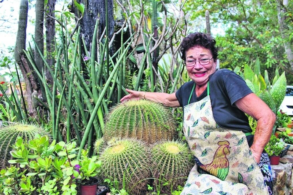 Margaret Buchecker proudly shows off her prized cacti garden at Slacks Creek.