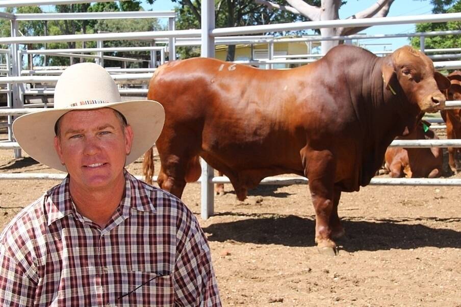 John Baccon, Mt Oscar Droughtmasters, Clermont paid $12,000 to secure the top priced Highlands Droughtmaster, Strathfield Gizmo from Shane (pictured) and Wendy Perry, Strathfield stud, Clermont. 