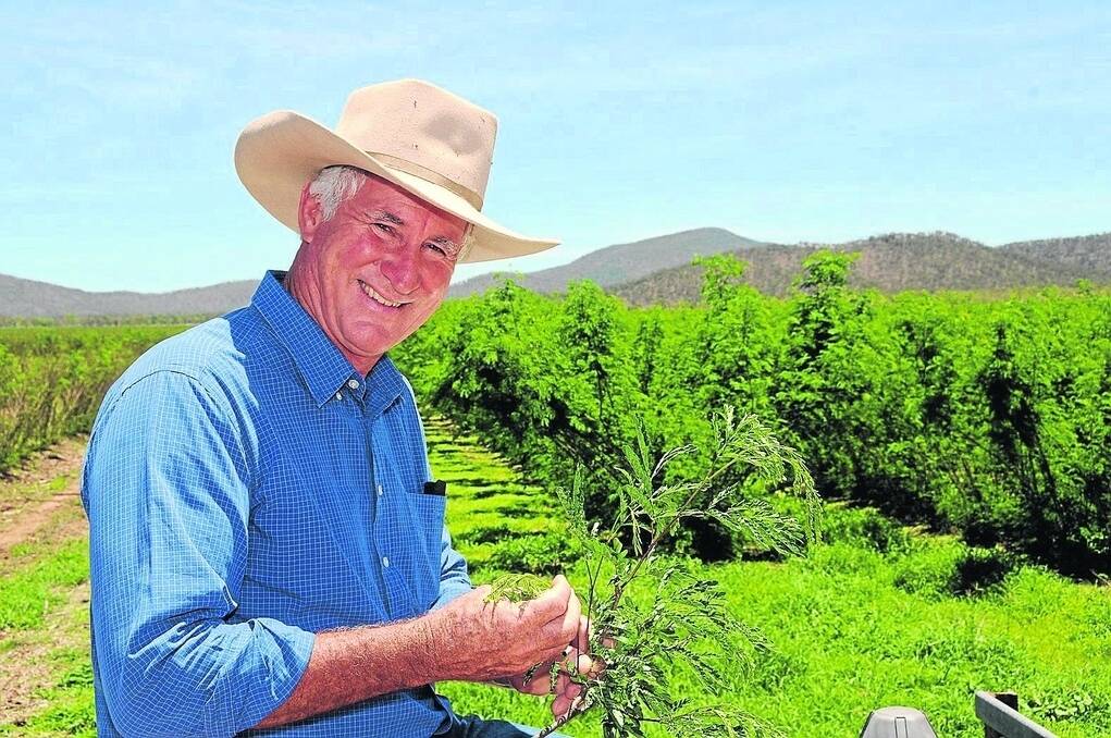 Former MLA chairman Don Heatley, Byrne Valley, Home Hill, is a previous <i>Queensland Country Life</i> Red Meat Achiever.