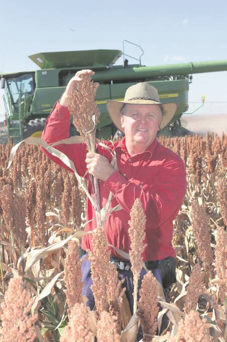 Ross Armstrong, Coolibah Plains, Comet, says his crop is not too bad despite the short season, a plague of locusts and a dry finish. It is thanks in part to his new precision planter. <i>- Picture: ROD GREEN.</i>