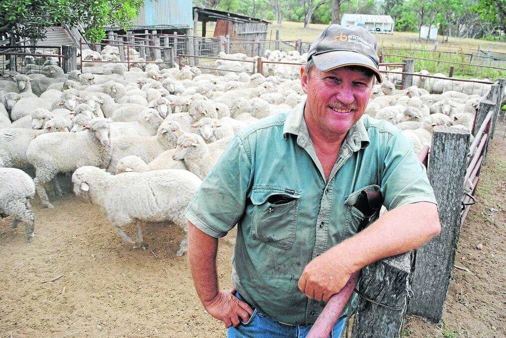 Phil Sissman, Tummarrami, Cement Mills, with young weaner wethers ready for crutching.