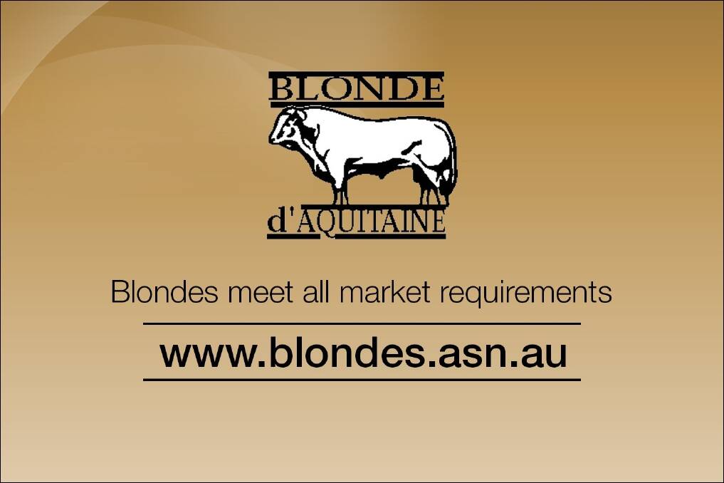 Blonde d'Aquitaine Beef 2015 results