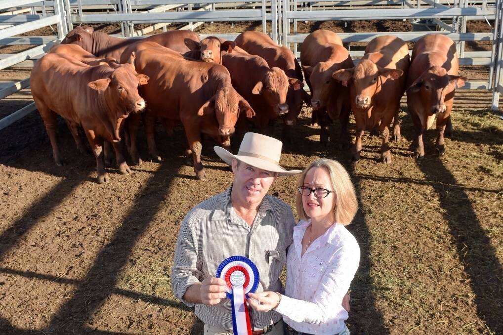 Ken and Kerry McKenzie, Yaralla, Blackwater, were delighted when they claimed the Ruralco Commercial cattle championship award for the fourth Beef Australia Expo. The grand champion pen was also the grand champion grainfed pen, and comprised of 10 purebred Droughtmasters, milk-tooth, average weight 546kg and coming off 128 days on feed at the Donavon family’s Duaringa Station Feedlot, Duaringa. 