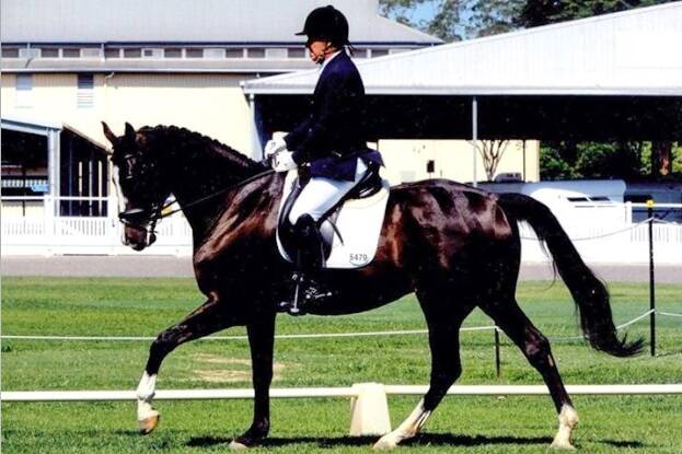 Warmblood dressage horse, Edenfield Santorini, died in a stable fire at Calliope. <i>- Picture: Facebook.</i>