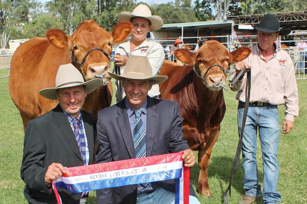 Supreme beef exhibit of Gympie show was the Gelbvieh female, Sunshine Gem, paraded by Nadine Holt and Guy Swan, Sunshine Gelbviehs, Cooroy, as interbreed judges Curtis Sutton, Lakefield Brahmans, Kybong, and Shane Bishop, Garglen Cattle Company, Kandanga, present the Champion of Champions ribbon.