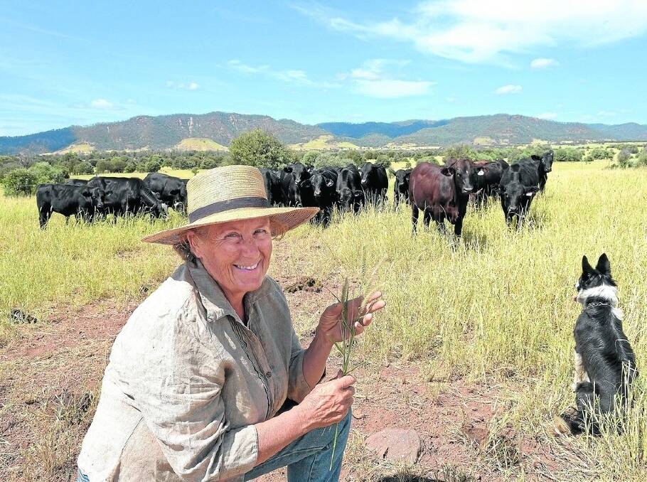 Bloss Hickson’s holistic approach extends from her trees to her cattle. – <i>Picture: Rodney Green.</i>