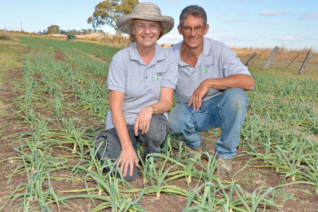 Joan and Rod Kambouris are proud of their small patch of land where they farm their Budgee Garlic and Herbs products. - <i>Picture: SARAH COULTON.</i>