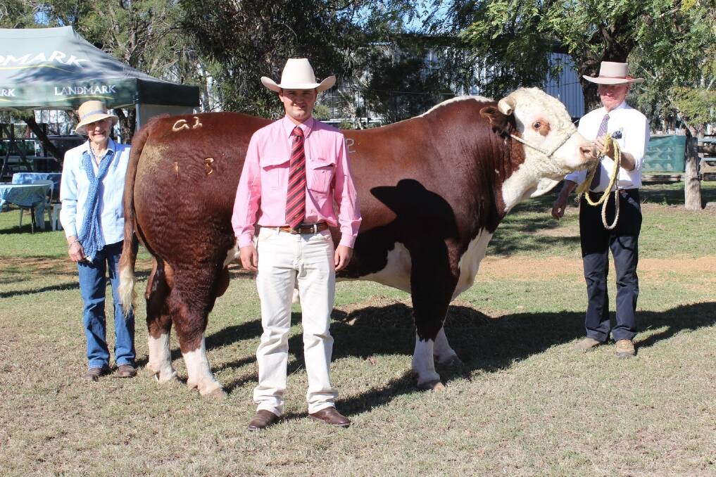 Top price Hereford bull Cootharaba Uluru is admired by stud principals Anne and Ian Galloway, and Jake Smith, Elders, Roma, who bought the bull on behalf of Dudley Graham, Compton Herefords, Tooma, NSW.