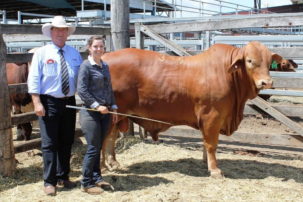 GDL auctioneer Peter Brazier, and vendor Anna Hicks, Calaanah Droghtmasters, Moura with the top priced bull Calaanah Abrahman which sold to Libby Ingram, Skye Droughtmasters, Alpha at the Droughtmaster National sale at the CQLX, Gracemere.