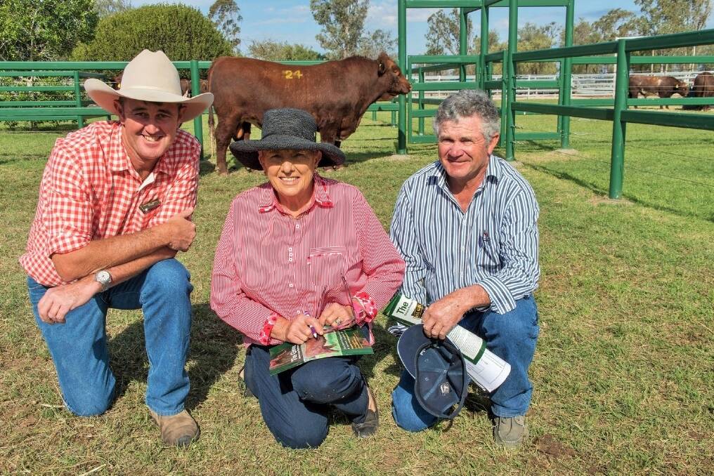 The Grove Gigabytes J0837, the top priced bull of The Grove sale at $57,500 with buyer Laird Morgan, Arubial Shorthorns, Condamine, vendor Mary Morgan, The Grove, Condamine, and buyer Gerald Spry, Sprys Shorthorns, Wagga Wagga, NSW.