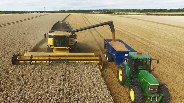 UK coastal crop busts wheat yield records