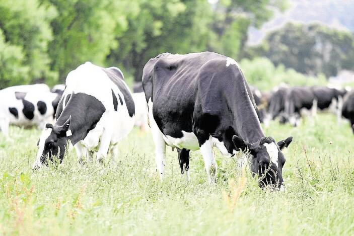 DA's latest Situation and Outlook report highlights the increasing input costs dairy farmers are facing.