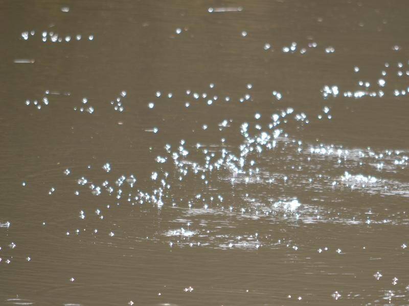 Methane bubbles in the Condamine River appear to be spreading to new areas. (PR HANDOUT/AAP IMAGE)