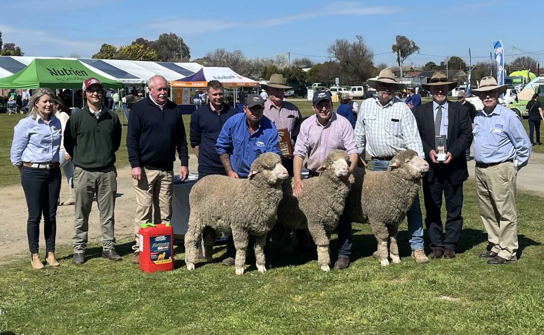 Grassy Creek won the pen of three at the recent South West Slopes Merino Field Day. Picture supplied