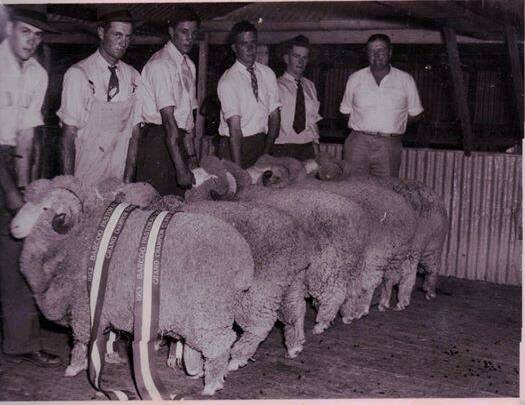 ON SHOW: State Sheep Show in Blackall.