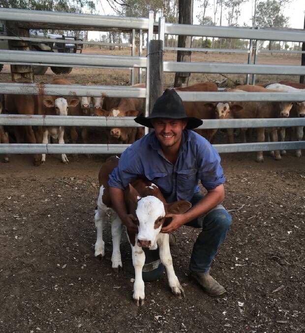 BEEFY: Billy Smoothy with one of their Simmental-cross calves. Their weaners are generally sold to feedlots when they reach 420 to 450 kilograms.