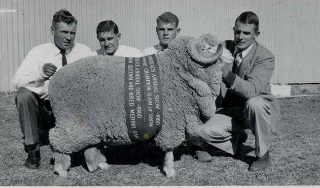 WHAT A BEAUTY: Terrick Terrick's grand champion ram with Russell Dowling, Lansdowne, Ken Riley, Terrick Terrick, Ian Thompson and Clive Hutton, Strathdarr.