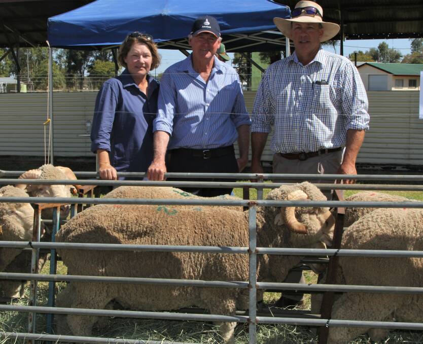 THE FUTURE: Jenny and Rick Keogh, Terrick Merinos, with the top-priced sale ram and purchaser, Will Chandler, Home Creek, Barcaldine at the 2020 sale.